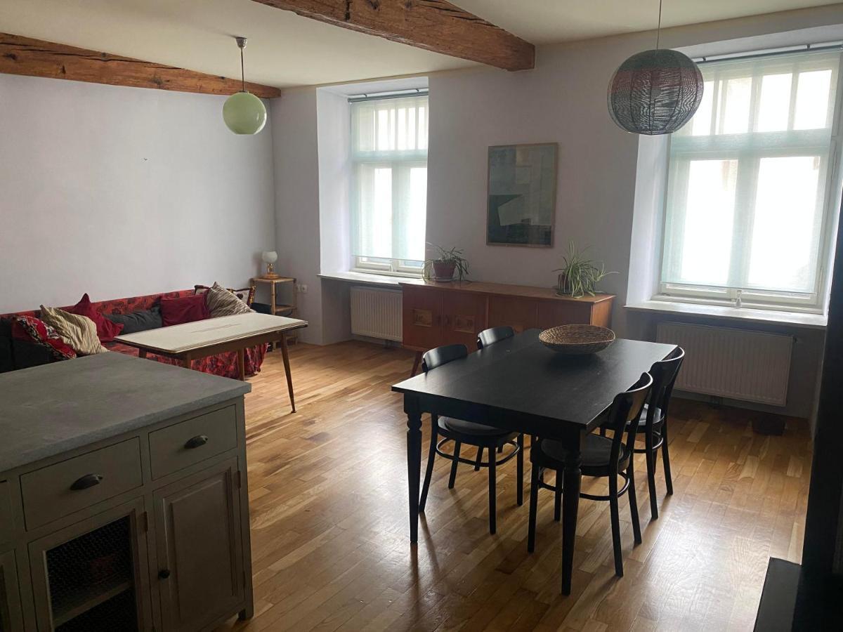Vintage Charm Apartment 卢布尔雅那 外观 照片