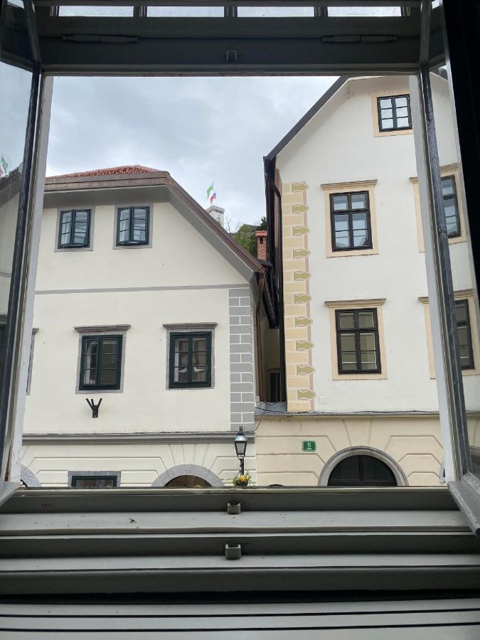 Vintage Charm Apartment 卢布尔雅那 外观 照片